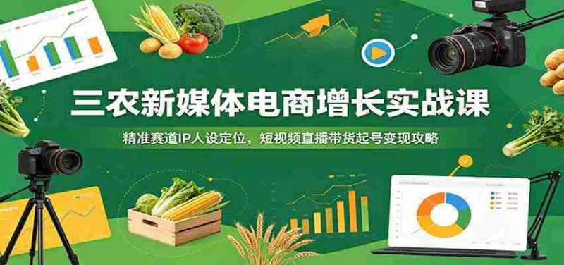 三农新媒体电商增长实战课:精准赛道IP人设定位,短视频直播带货起号变现攻略-有道网创
