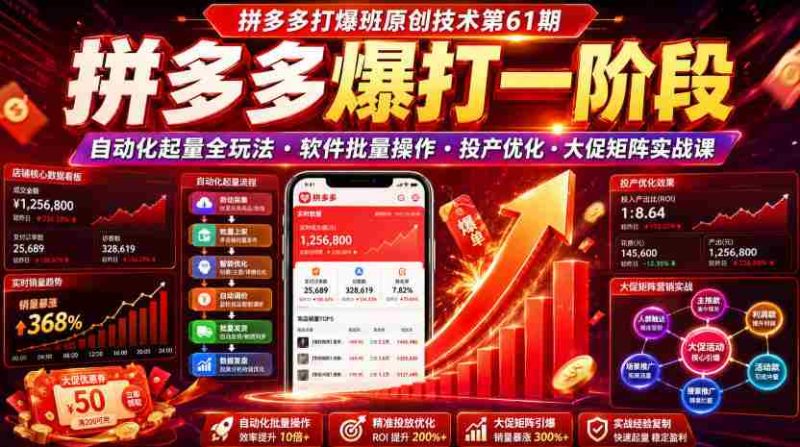 拼多多打爆班原创技术第61期,拼多多爆打一阶段,自动化起量全玩法・软件批量操作・投产优化・大促矩阵实战课-有道网创