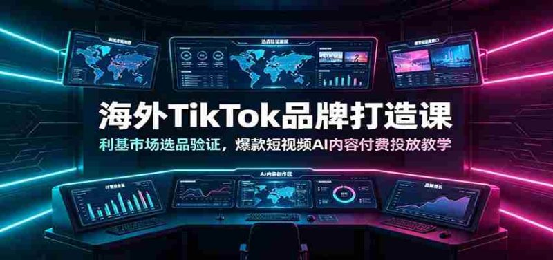 海外TikTok品牌打造课:利基市场选品验证,爆款短视频AI内容付费投放教学-有道网创