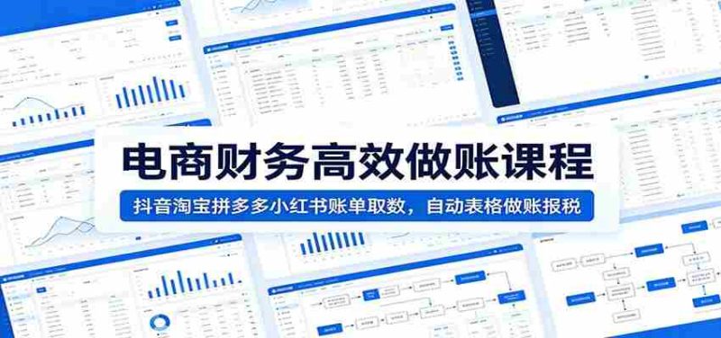 电商财务高效做账课程:抖音淘宝拼多多小红书账单取数,自动表格做账报税-有道网创