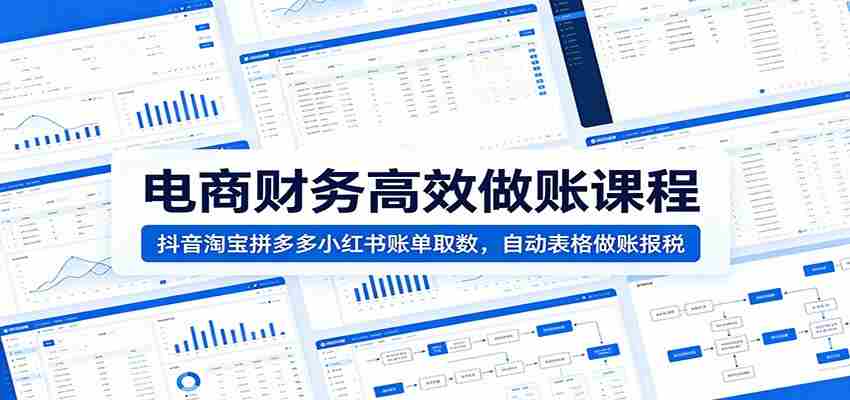 电商财务高效做账课程：抖音淘宝拼多多小红书账单取数，自动表格做账报税-有道网创