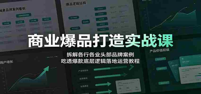 商业爆品打造实战课:拆解各行各业头部品牌案例,吃透爆款底层逻辑落地运营教程-有道网创