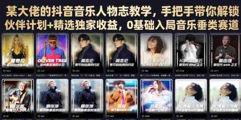 某大佬的抖音音乐人物志教学,手把手带你解锁伙伴计划+精选独家收益,0基础入局音乐垂类赛道-有道网创