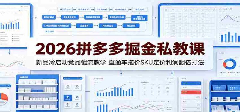 2026拼多多掘金私教课:新品冷启动竞品截流教学,直通车拖价SKU定价利润翻倍打法-有道网创
