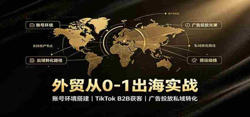 外贸从0-1出海实战:账号环境搭建,TikTok B2B获客,广告投放私域转化-有道网创