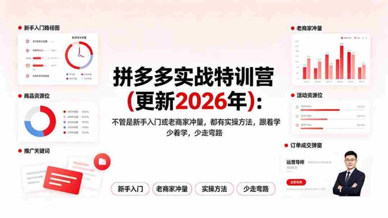 (19724期)拼多多实战特训营(更新2026年):不管是新手入门或老商家冲量,都有实操方法,跟着学,少走弯路-有道网创