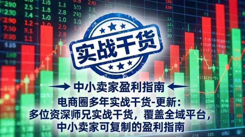 (19761期)电商圈多年实战干货-更新2026:多位资深师兄实战干货/覆盖全域平台,中小卖家可复制的盈利指南-有道网创