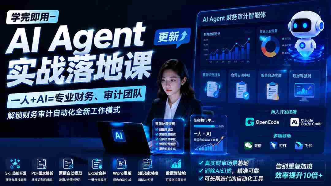 （19740期）学完即用—AI Agent实战落地课-更新：一人+AI=专业财务、审计团队，解锁财务审计自动化全新工作模式-有道网创