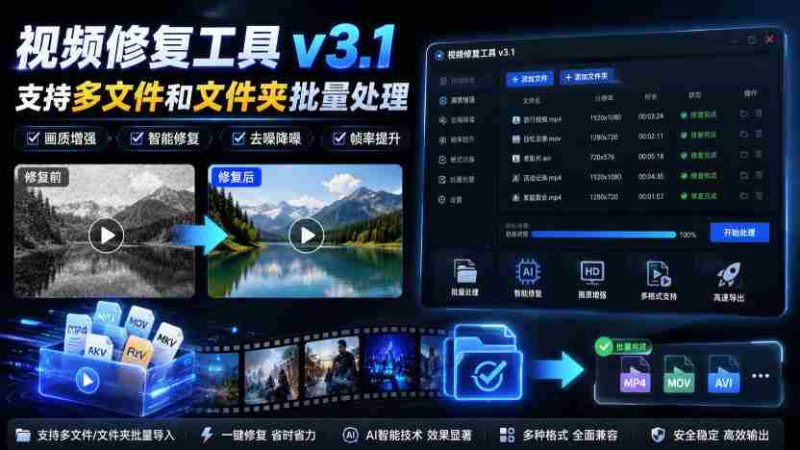 视频修复工具v3.1，支持多文件和文件夹批量处理-有道网创