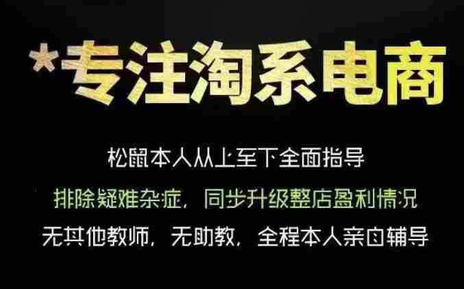 松鼠会电商VIP课程，从基础布局到高阶优化，助你掌握淘宝运营逻辑，提升店铺流量与转化（更新0809）-有道网创