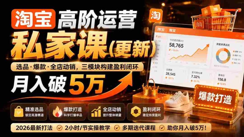(19906期)淘宝高阶运营私家课(更新26年):选品、爆款、全店动销,三模块构建盈利闭环,月入破5万-有道网创