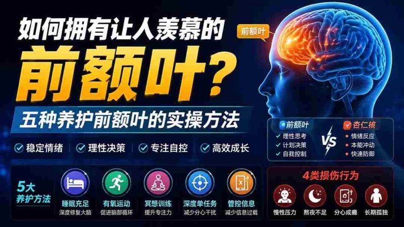 （19805期）付费文章：如何拥有让人羡慕的前额叶？五种养护前额叶的实操方法-有道网创