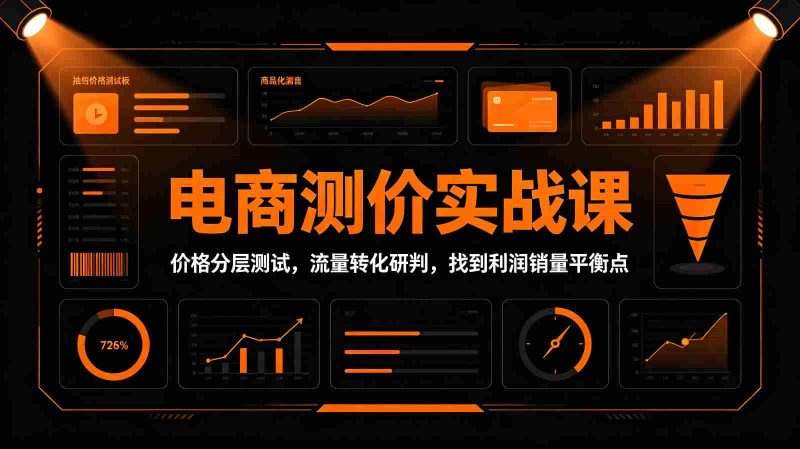 电商测价实战课:价格分层测试,流量转化研判,找到利润销量平衡点-有道网创