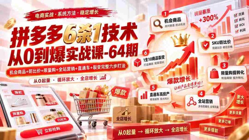 (20316期)拼多多6杀1技术从0到爆实战课-64期:机会商品+防比价+限量购+全站营销+直通车+裂变完整六步打法-有道网创