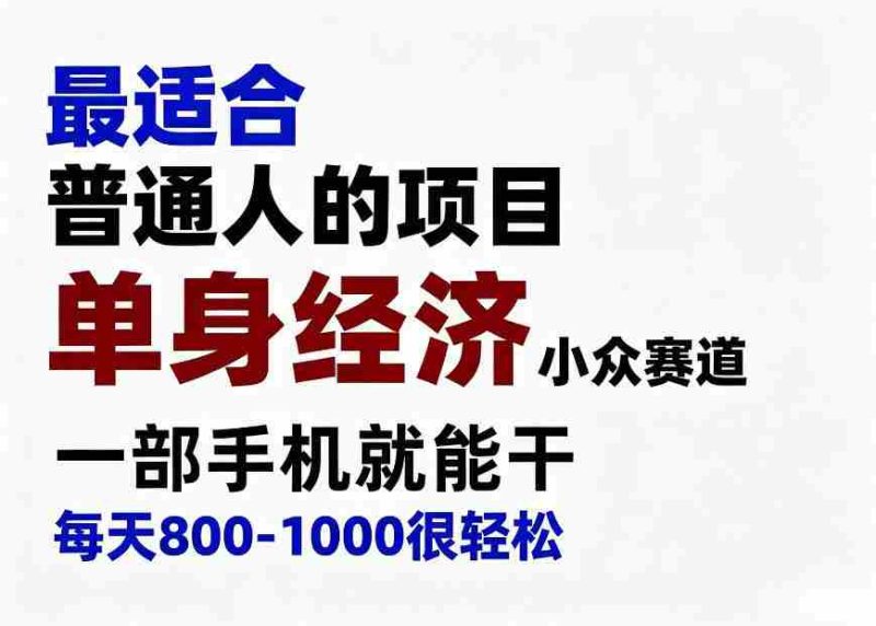 身经济小众赛道,一部手机就能干,每天搞个800-1000很轻松,最适合普通人的项目【揭秘】-有道网创