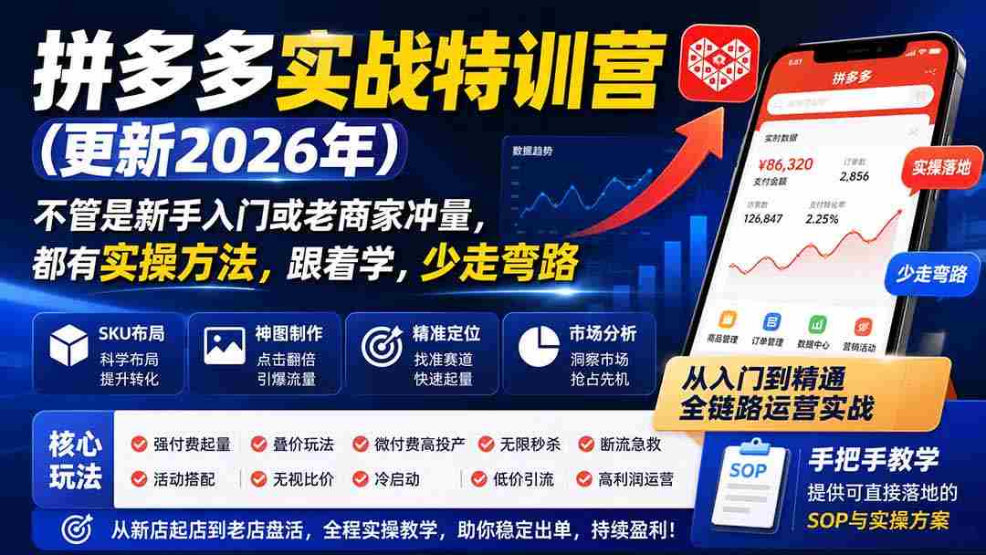 （20158期）拼多多实战特训营(更新26年0831)：不管是新手入门或老商家冲量，都有实操方法，跟着学，少走弯路-有道网创