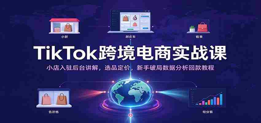 TikTok跨境电商实战课：小店入驻后台讲解，选品定价，新手破局数据分析回款教程-有道网创